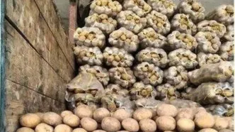 علت بحران سیب‌ زمینی از زبان وزیر دادگستری
