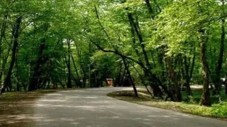 تازه‌ترین تصاویر از قطع ریه‌های تنفسی شهر تهران