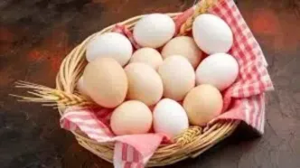 کاهش ۵۰ درصدی قیمت تخم مرغ/ قیمت مصوب هفته آینده اعلام می‌شود