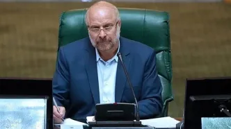 مجلس درباره حادثه انفجار بندر شهید رجایی، به مردم گزارش دقیقی می‌دهد