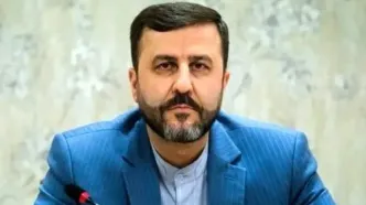 غریب آبادی: تیم آژانس به ایران می‌آید اما از تاسیسات بازدید نمی‌کند