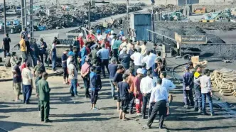 زندگی نباتی، اختلال مغزی و سوگواری ادامه‌دار