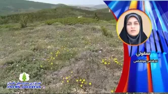 پیش بینی وضعیت آب و هوا گلستان فردا پنجشنبه ۴ اردیبهشت ماه ۱۴۰۴ | پیش بینی هواشناسی گلستان ۲۴ ساعت آینده + هواشناسی گرگان