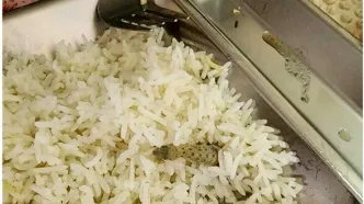 واکنش دانشگاه علوم پزشکی کاشان به مارمولک خبرساز
