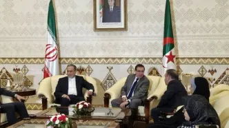 بقایی: ایران مصمم به تقویت روابط همه‌جانبه با الجزایر است