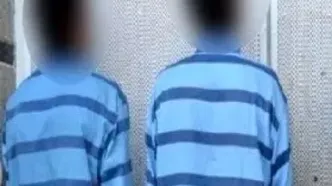 دو برادر، متهمان سرقت‌های سریالی کلان از خانه تهرانی‌ها