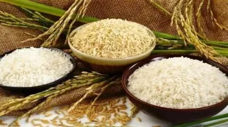 واردات برنج پاکستانی متوقف شد