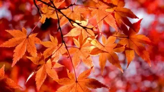 پیش‌بینی نگران‌کننده از پاییز ۱۴۰۴