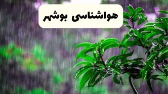 پیش بینی هواشناسی بوشهر فردا سه شنبه | پیش‌ بینی آب و هوا بوشهر فردا سه شنبه ۲۶ فروردین ۱۴۰۴ | وضعیت آب و هوای بوشهر فردا