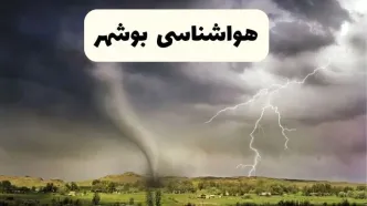 پیش بینی وضعیت آب و هوا بوشهر فردا ۲۶ اردیبهشت ۱۴۰۴ | هواشناسی بوشهر فردا جمعه ۲۶ اردیبهشت