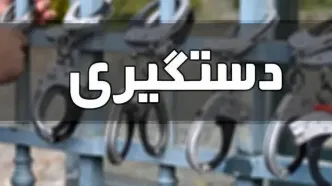 شناسایی و دستگیری ۵۵۵ قاچاقچی حرفه‌ای در پایتخت طی سال گذشته