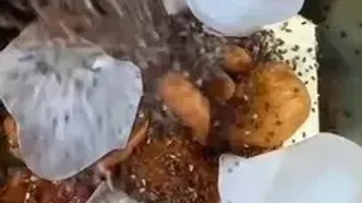 معجون افزایش وزن
