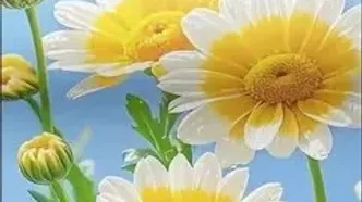 تفسیر فال حافظ 4 اردیبهشت