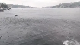 ببینید | تلاطم دریای مرمره محل وقوع زلزله 6.2 ریشتری ترکیه