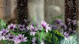 پیش‌بینی بارش باران تا آخر هفته