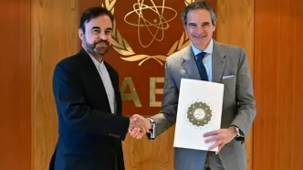 تاکید نجفی بر نقش بی‌طرفانه آژانس در قبال ایران