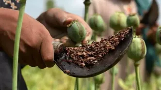 تریاک ایرانی با یک نام عجیب به بازار آمد!