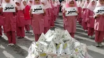 دستورالعمل برنامه ملی شیر مدرسه بازنگری می‌شود