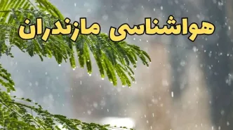 پیش بینی وضعیت آب و هوا مازندران فردا یکشنبه ۱۸ خرداد ماه ۱۴۰۴ | پیش بینی هواشناسی مازندران ۲۴ ساعت آینده