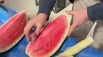 روش تقلب یک فروشنده در ترکیه برای قرمز نشان دادن هندوانه با کمک چغندر!