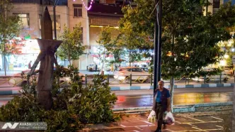 آمار مصدومان طوفان شب گذشته در تهران