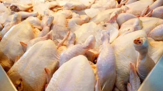گوشت مرغ با قیمت جدید به بازار آمد (۱۸ اردیبهشت)