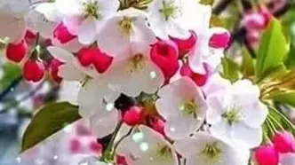 فال و طالع بینی روزانه 29 فروردین + فیلم