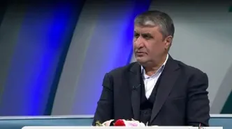 اسلامی: با اتکا به دانش بومی به حوزه راهبردی صنعت هسته‌ای دست یافتیم