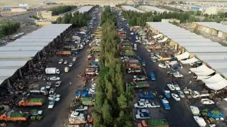 عرضه گسترده میوه و سیب‌زمینی در سراسر کشور