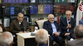 دیدار پیشکسوتان وزارت امور خارجه با ولایتی