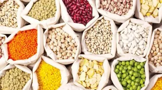 تغییر در بازار حبوبات/ اعلام قیمت جدید لوبیا چیتی