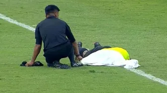 حمله زنبورها باعث از پا در آمدن داور شد!