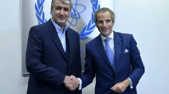 گروسی با رییس سازمان انرژی اتمی دیدار کرد