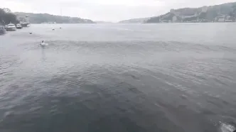 دریای مرمره در هنگام زلزله ۶.۲ ریشتری استانبول، ترکیه + فیلم