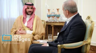 تصاویر: دیدار وزیر دفاع عربستان با رئیس جمهور