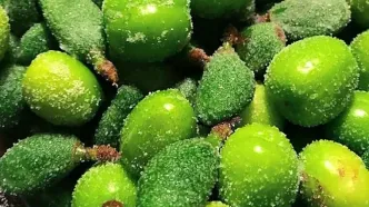 این چغاله‌بادام‌ها را نخورید