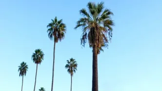 پیش‌بینی هوای خوزستان و اهواز؛ جمعه ۲۹ فروردین ۱۴۰۱