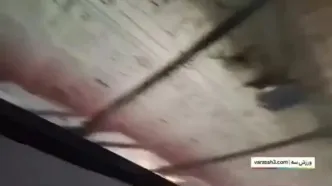 ویدیو: حین مصاحبه چشمی برق قطع شد!