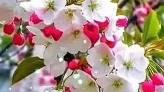 فال و طالع بینی روزانه 29 فروردین
