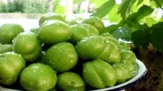 قیمت نجومی گوجه سبز در تهران؛ هر کیلو ۲ میلیون تومان!