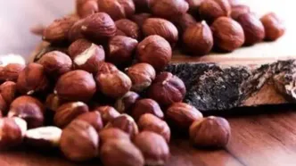 این مغز یک نوع مولتی‌ویتامین محسوب می‌شود