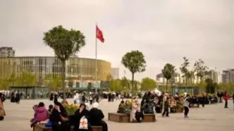 افزایش شمار مصدومان زلزله ۶.۲ ریشتری  استانبول