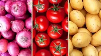 ریزش قیمت در بازار میوه و تره‌بار؛ مرهم درد سیب‌ زمینی پیدا شد + جدول قیمت