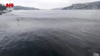 ببینید| لحظه ترسناک زلزله ۶.۲ ریشتری در دریای مرمره استانبول