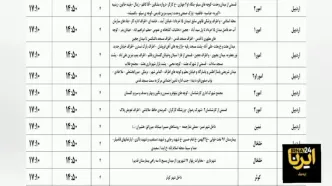 برنامه زمان‌بندی قطعی برق در این منطقه+ فیلم