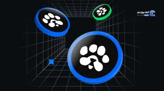 آموزش نقد کردن ایردراپ پاز (PAWS)