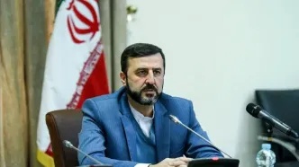 غریب‌آبادی: نشست سه‌جانبه ایران، چین و روسیه ثمربخش و سازنده بود