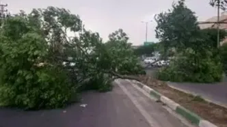 طوفان در تهران شروع شد+ ببینید