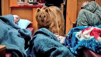 روایت سیروس مقدم از حضور خرس زنده در پایتخت ۷/ ویدئو