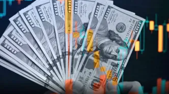 پیش‌بینی قیمت دلار در سال‌جاری